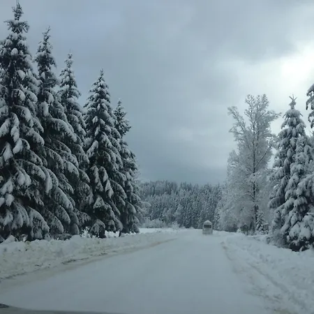 смерекова хата- пилипець Guest house